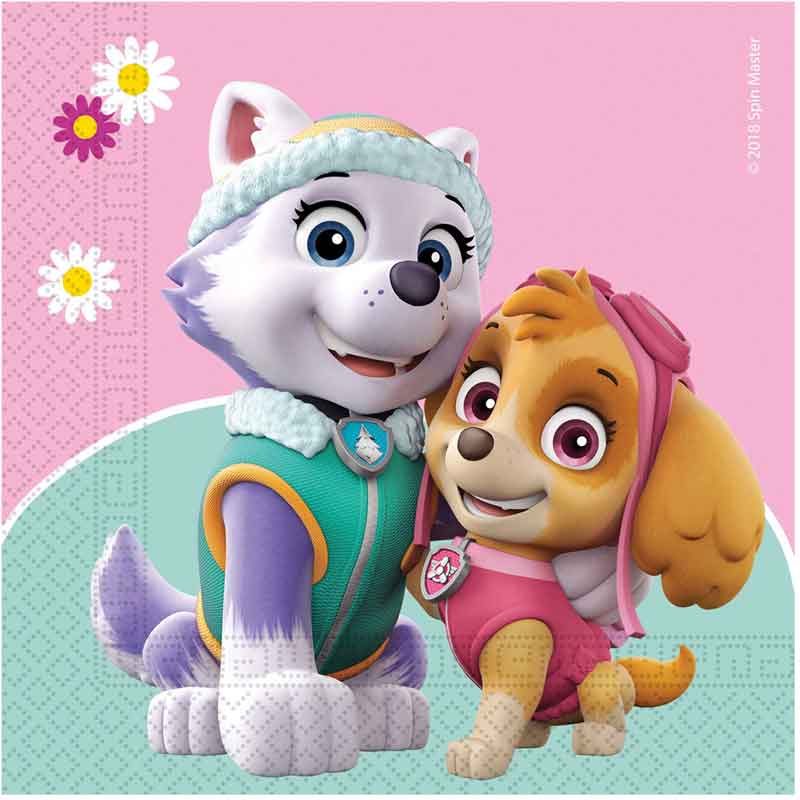 (20) 2PLY PAW PATROL NAPKINS