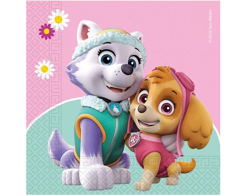 (20) 2PLY PAW PATROL NAPKINS