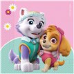 (20) 2PLY PAW PATROL NAPKINS