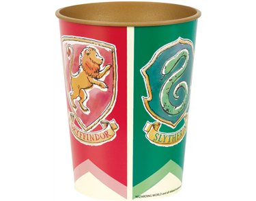 16oz HARRY POTTER PLASTIC CUP