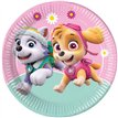 8PK 23cm PAW PATROL PLATES