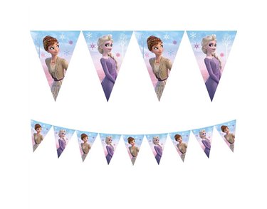 FROZEN II WIND SPIRIT FLAG BANNER