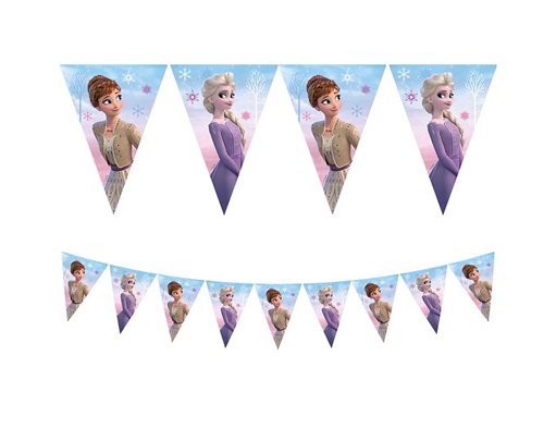 FROZEN II WIND SPIRIT FLAG BANNER