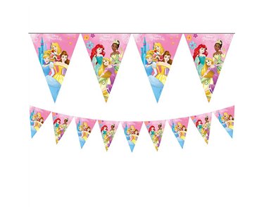 DISNEY PRINCESS LIVE YOUR STORY FLAG BANNER