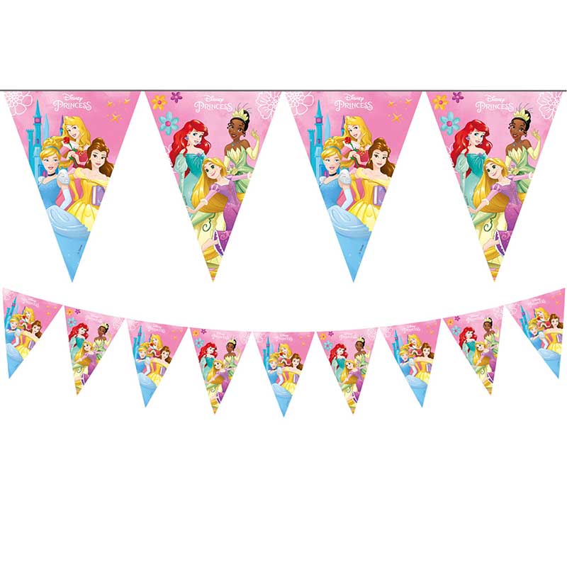 DISNEY PRINCESS LIVE YOUR STORY FLAG BANNER