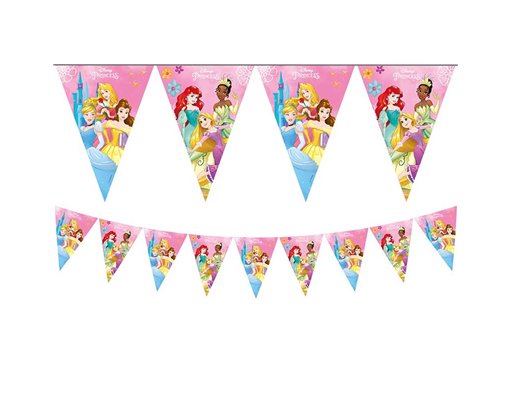 DISNEY PRINCESS LIVE YOUR STORY FLAG BANNER