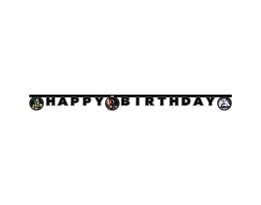 STAR WARS GALAXY BANNER