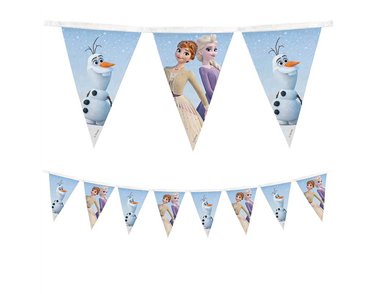 FROZEN II WIND SPIRIT REUSABLE FLAG BANNER