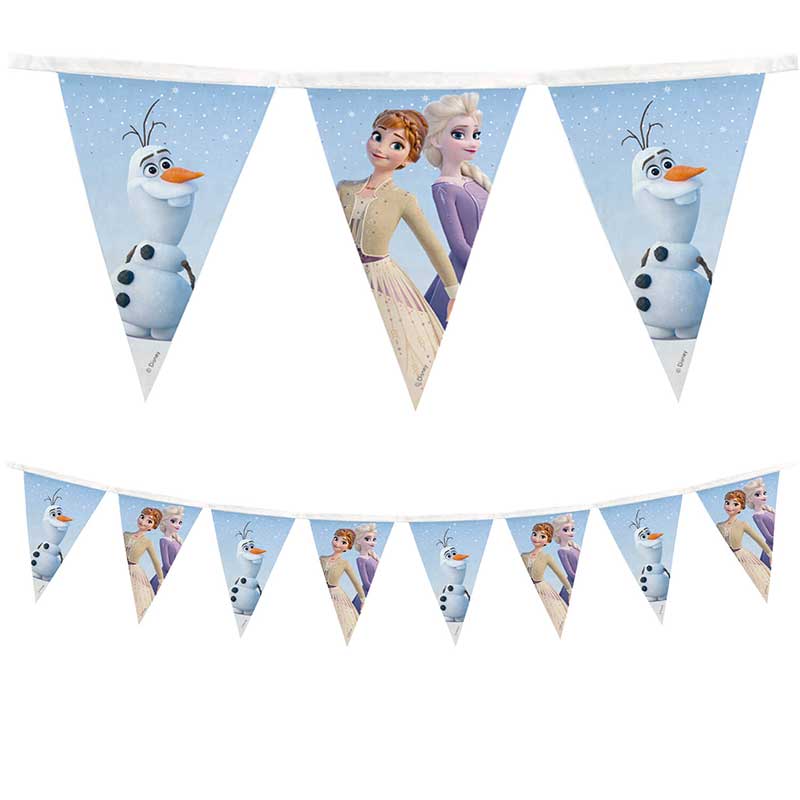 FROZEN II WIND SPIRIT REUSABLE FLAG BANNER