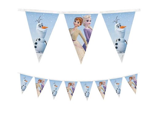 FROZEN II WIND SPIRIT REUSABLE FLAG BANNER
