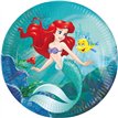 8PK 23cm ARIEL CURIOUS PAPER PLATES