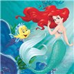 20PK ARIEL CURIOUS NAPKINS