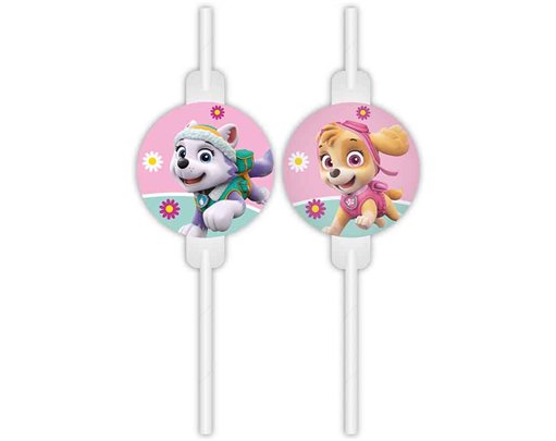 12PK PAW PATROL SKYE MEDALLION PAPER STRAWS