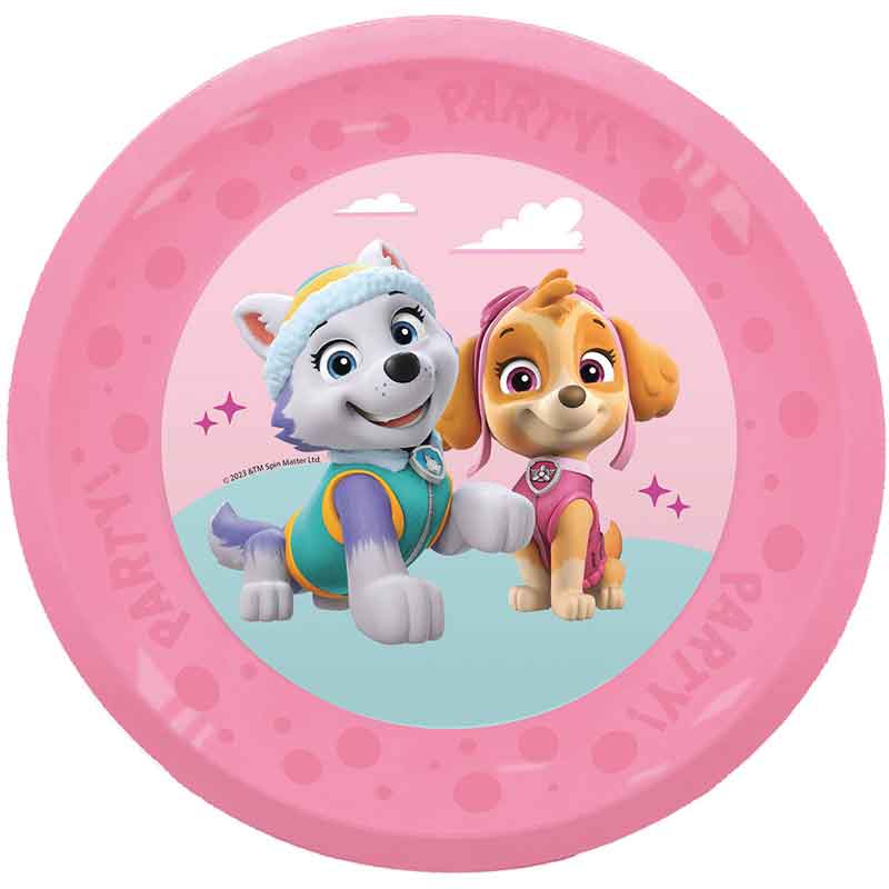 4PK 21CM PAW PATROL SKYE REUSABLE PLATES