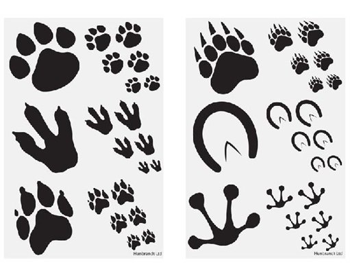 6PC 4CM ANIMAL PRINT TATTOO SHEET  96S