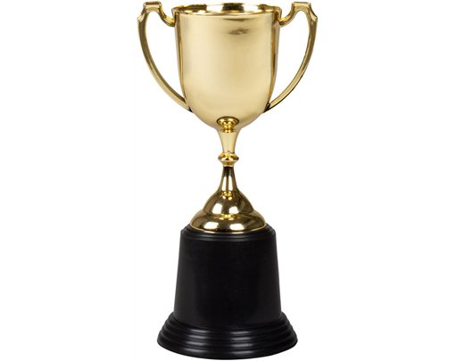 22cm GOLDEN TROPHY
