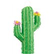 CACTUS 3D PINATA