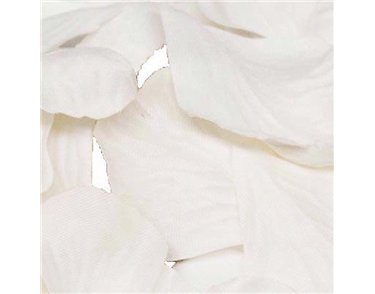 164PCS WHITE ROSE PETALS