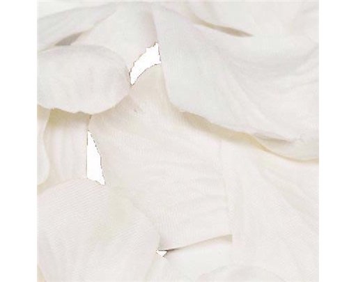 164PCS WHITE ROSE PETALS