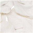 164PCS WHITE ROSE PETALS