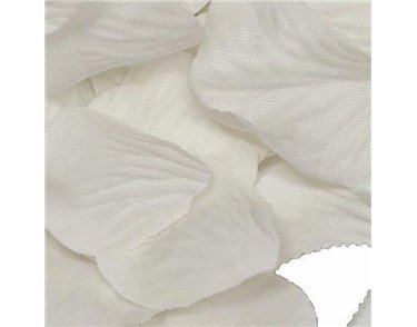 164PCS IVORY ROSE PETALS ACETATE BOX