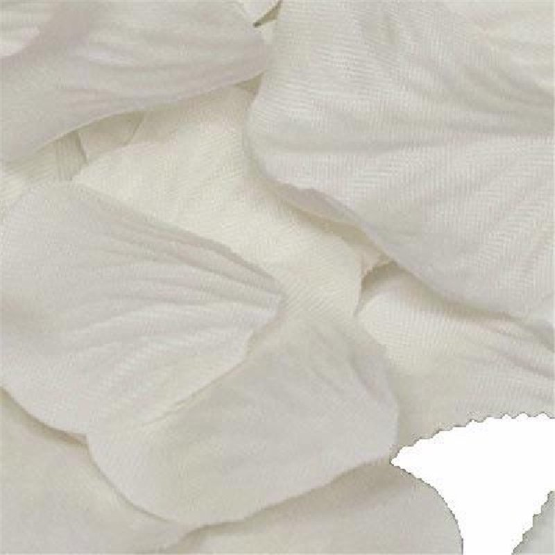 164PCS IVORY ROSE PETALS ACETATE BOX
