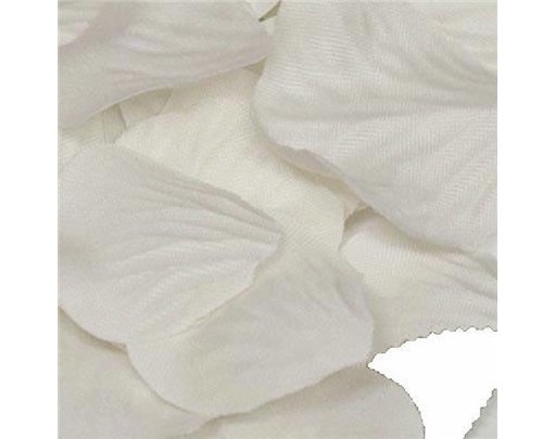 164PCS IVORY ROSE PETALS ACETATE BOX