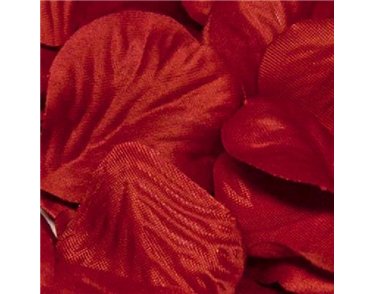 164PCS RED ROSE PETALS