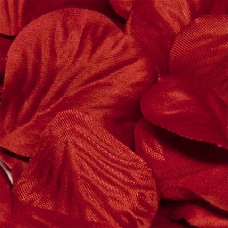 164PCS RED ROSE PETALS
