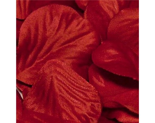 164PCS RED ROSE PETALS