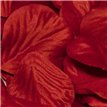 164PCS RED ROSE PETALS
