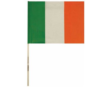 40CM STICK EIRE PVC HAND FLAG  50S