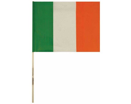 40CM STICK EIRE PVC HAND FLAG  50S