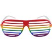 ADULT PRIDE SHUTTER GLASSES