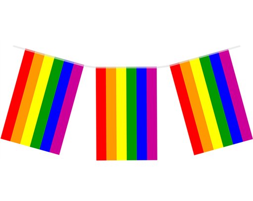 7m PRIDE FLAG BUNTING