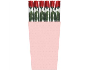 ROSE IN ACETATE BOX 24S