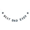 2.5m BEST DAD EVER BANNER