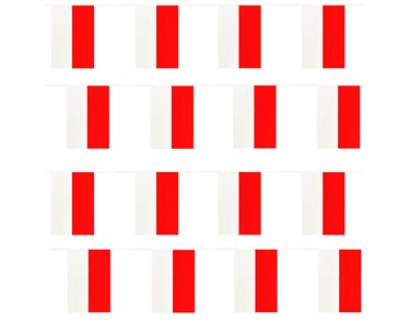 10m POLAND BUNTING