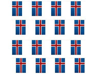 10m ICELAND BUNTING
