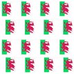 10m WALES  BUNTING