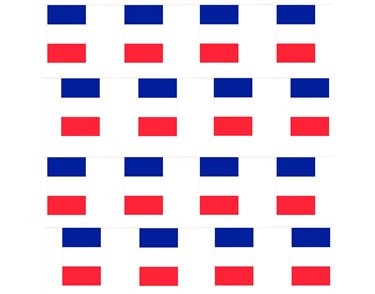 10m FRANCE BUNTING