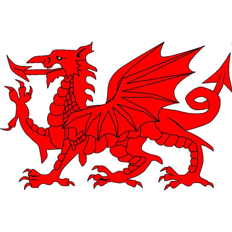 12PK WALES TATTOOS