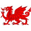 12PK WALES TATTOOS