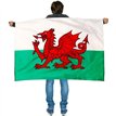 WALES CAPE FLAG