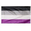 5x3ft ASEXUAL PRIDE FLAG