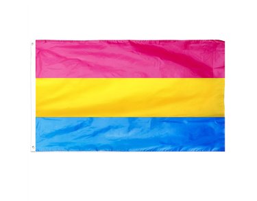 5x3ft PANSEXUAL GAY PRIDE FLAG