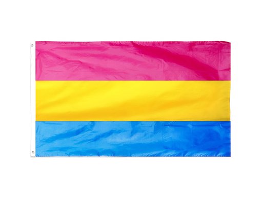 5x3ft PANSEXUAL GAY PRIDE FLAG