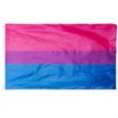 5x3ft BISEXUAL GAY PRIDE FLAG