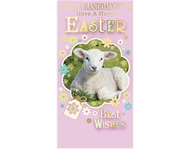 CUTE GT-GRANDDAUGHTER MONEY WALLET 12S