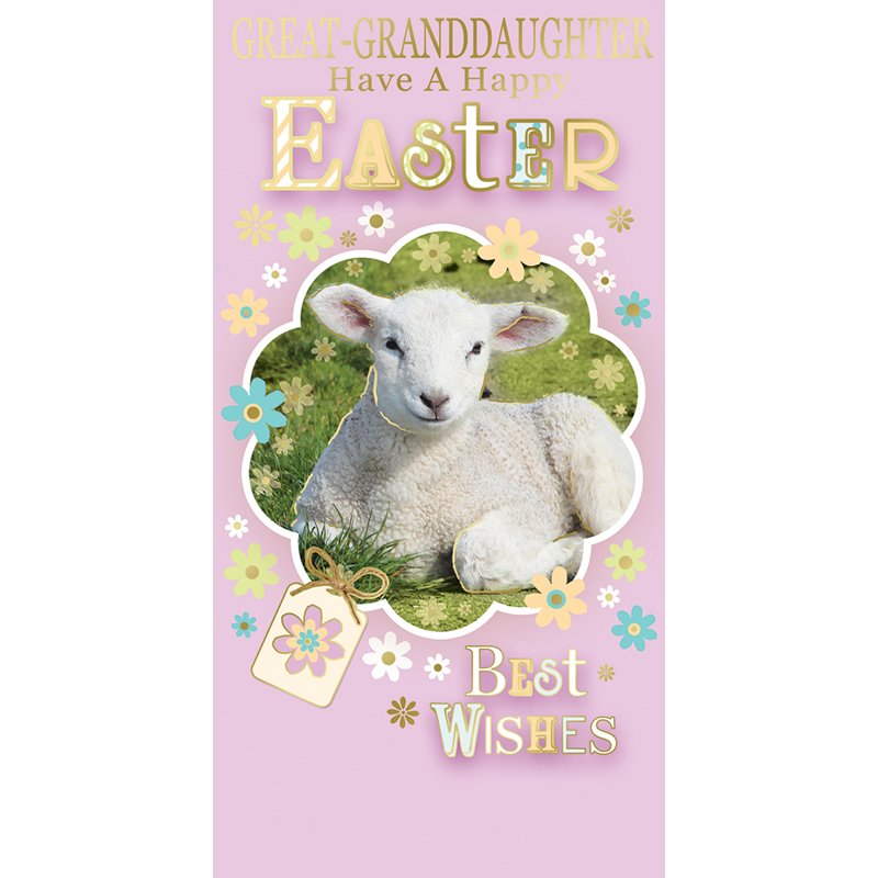 CUTE GT-GRANDDAUGHTER MONEY WALLET 12S